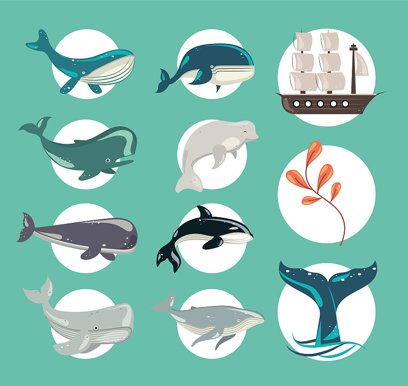 海鲸船插画图片