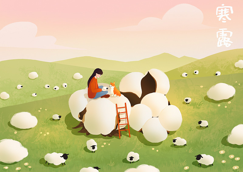二十四节气之女孩和狗寒露摘棉花田野绵羊风景图片下载