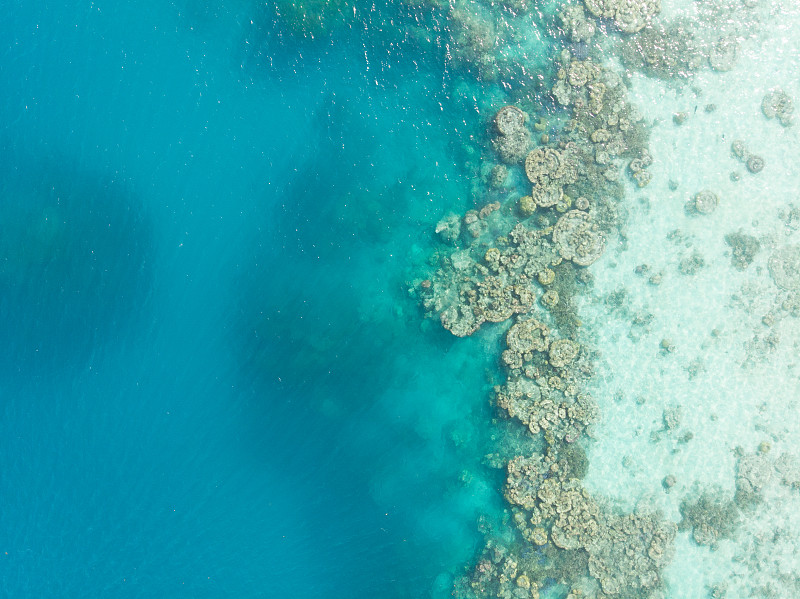 珊瑚礁和海底断崖图片下载