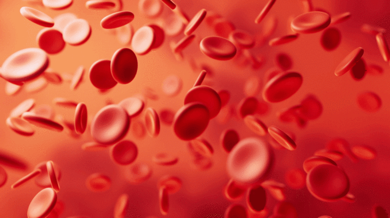 微观血液细胞3D渲染插画下载