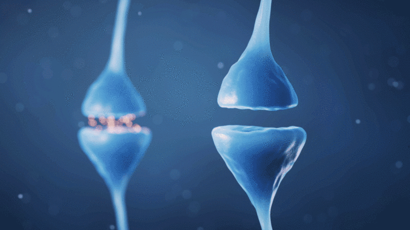 神经元细胞突触生物科技3D渲染图片下载