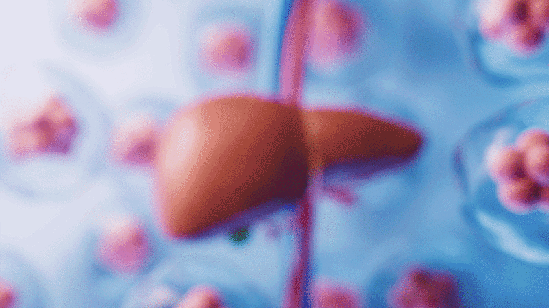 肝脏器官与生物医学3D渲染插画下载
