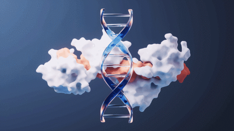 生物科技概念DNA与蛋白质循环动画3D渲染图片下载