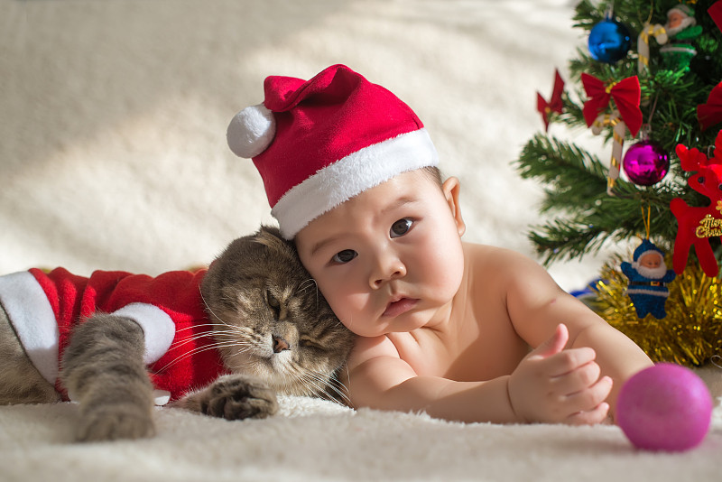 到圣诞帽的婴儿和猫图片素材