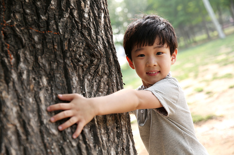 小男孩躲藏在大树后面图片下载