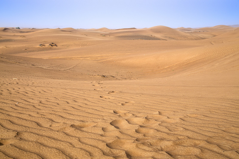 杜拜,阿拉伯联合大公国,亚洲,沙漠冲沙,图片下载