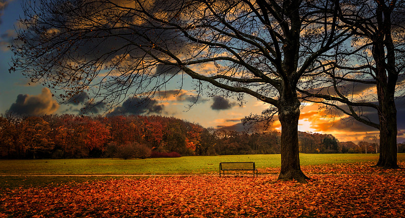 秋天，科隆的一个公园图片素材