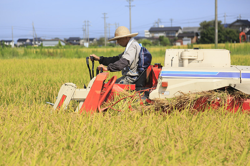 农民用联合收割机收割水稻图片下载