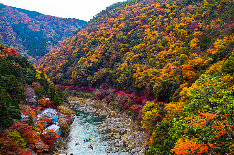 秋日日本京都的岚山图片下载