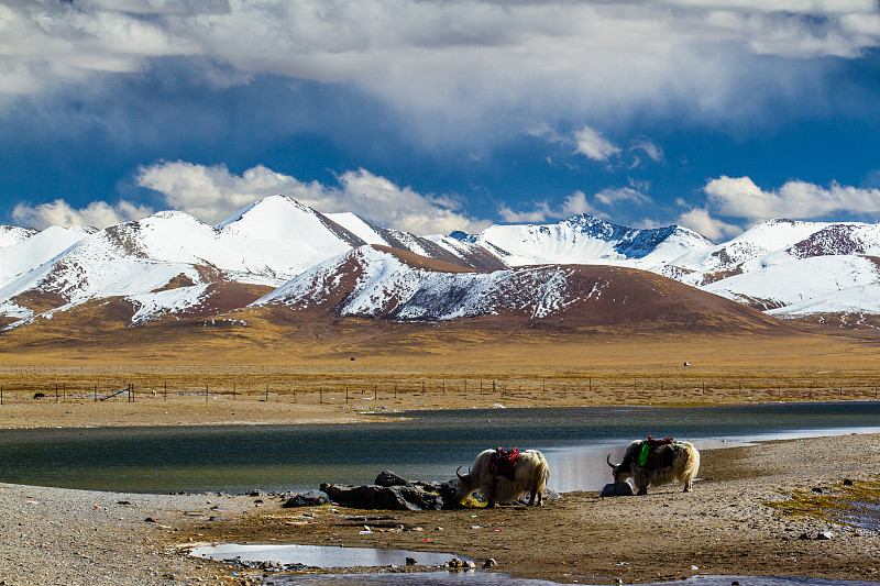 西藏的纳木湖图片下载