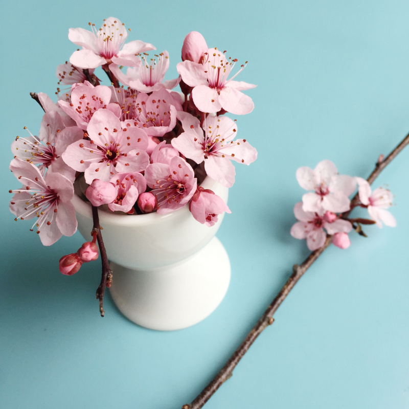 盛满粉红色花朵的蛋杯图片下载