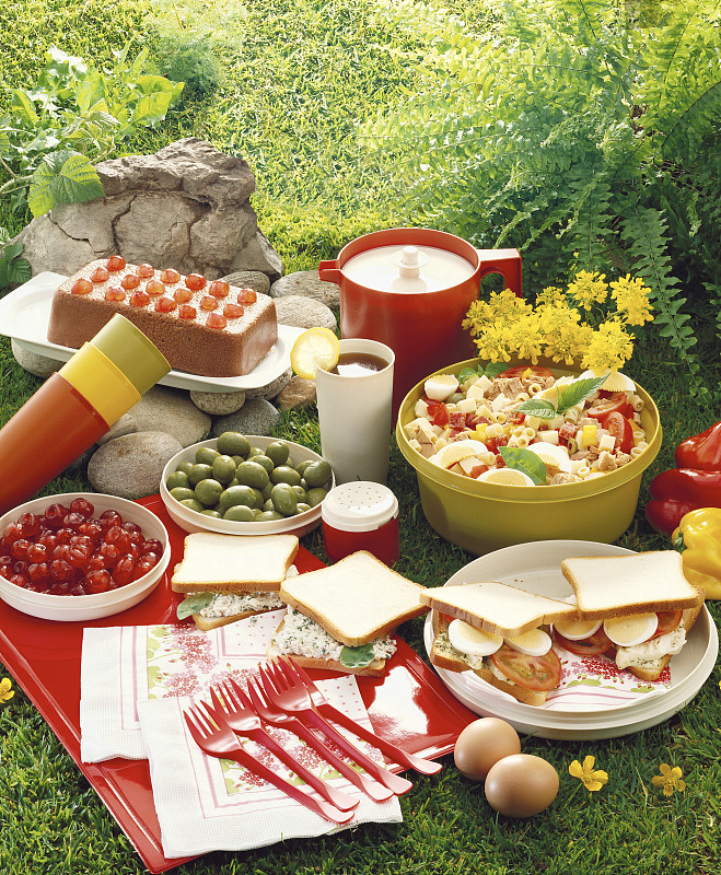 高角度的食物显示在野餐图片下载
