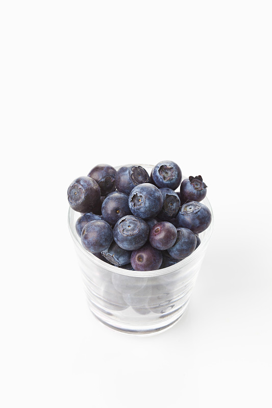 玻璃蓝莓，桃金娘图片下载