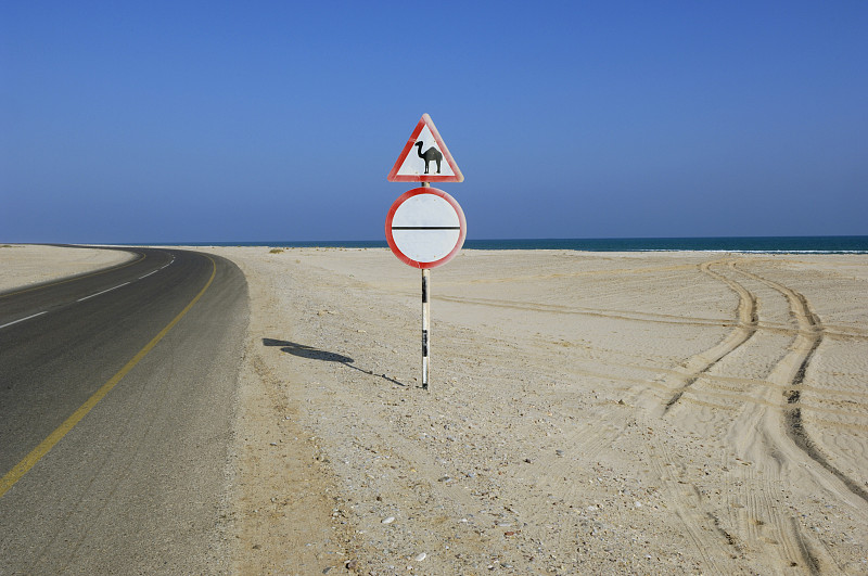 阿曼沙尔奇亚沙漠路上的骆驼警告标志图片素材