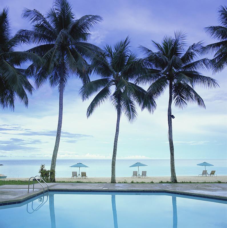 帕劳太平洋度假村的游泳池，棕榈树和椅子图片下载