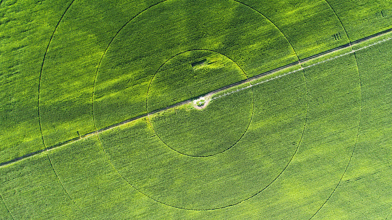 一个大型小麦种植园的垂直鸟瞰图图片下载