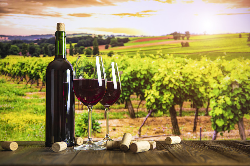酒瓶，玻璃杯，奶酪和葡萄在葡萄园的背景在日落。图片下载