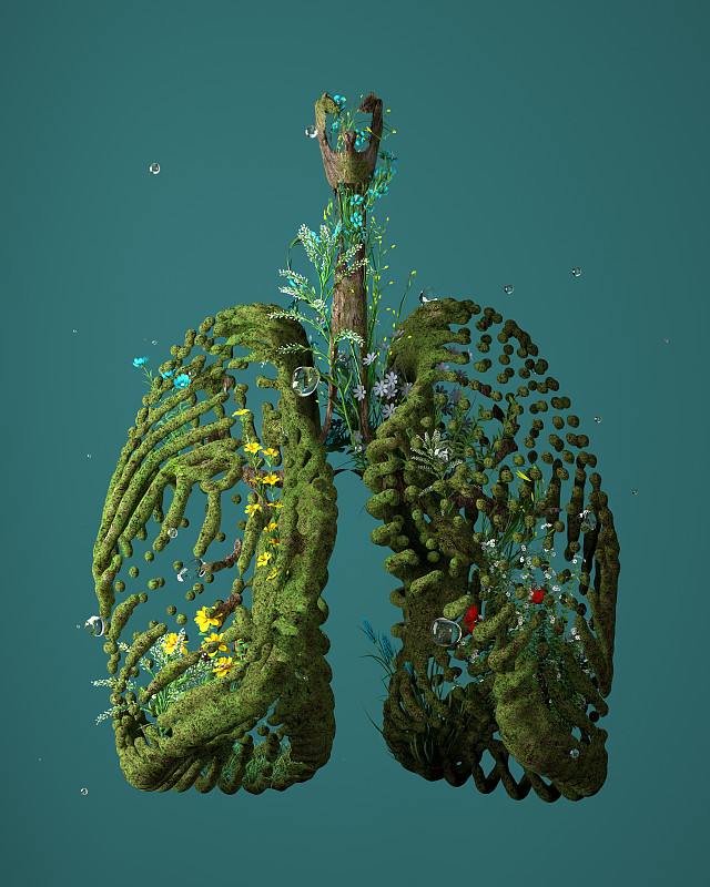 绿色的肺图片素材