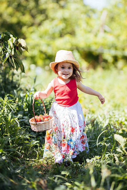 一个小女孩在田里摘草莓图片下载