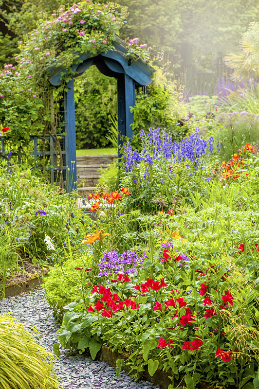 美丽的英式小屋，夏日花园，蓝色木质拱门，在柔和的阳光下图片素材