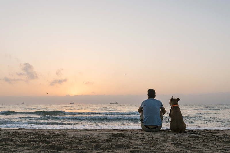 黎明时分，一个男人和他的狗坐在沙滩上图片素材