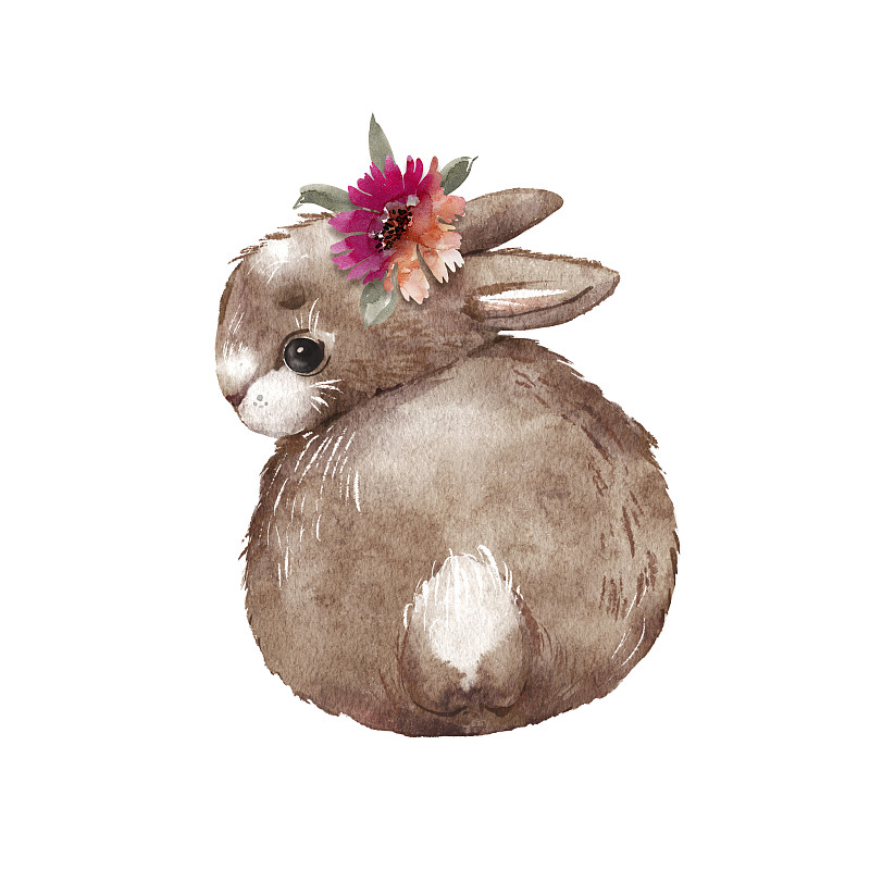 可爱的棕色兔子头上插着一朵花，插画手绘水彩。下载
