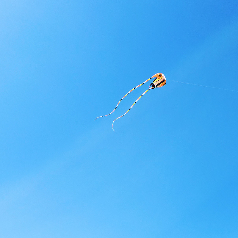 风筝在晴朗的蓝天下飞翔摄影图片