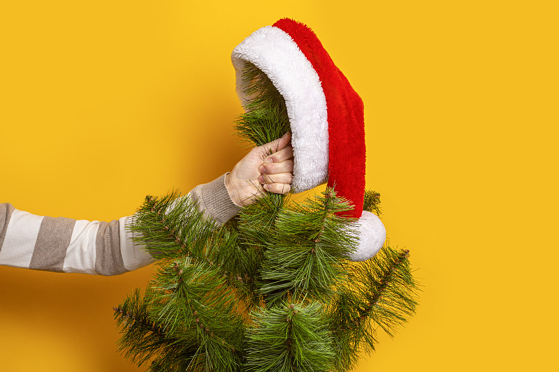 手里拿着圣诞树，黄色背景是圣诞老人的帽子。新年和平安夜的概念。横幅图片下载