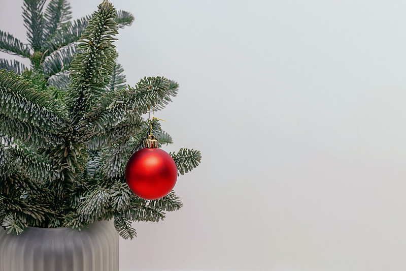 极简主义的圣诞装饰。冷杉枝插在装饰着红色装饰物的花瓶里图片下载