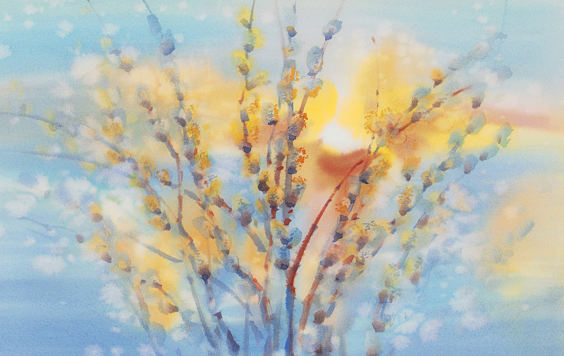 小猫柳枝在蓝色和黄色水彩背景图片下载