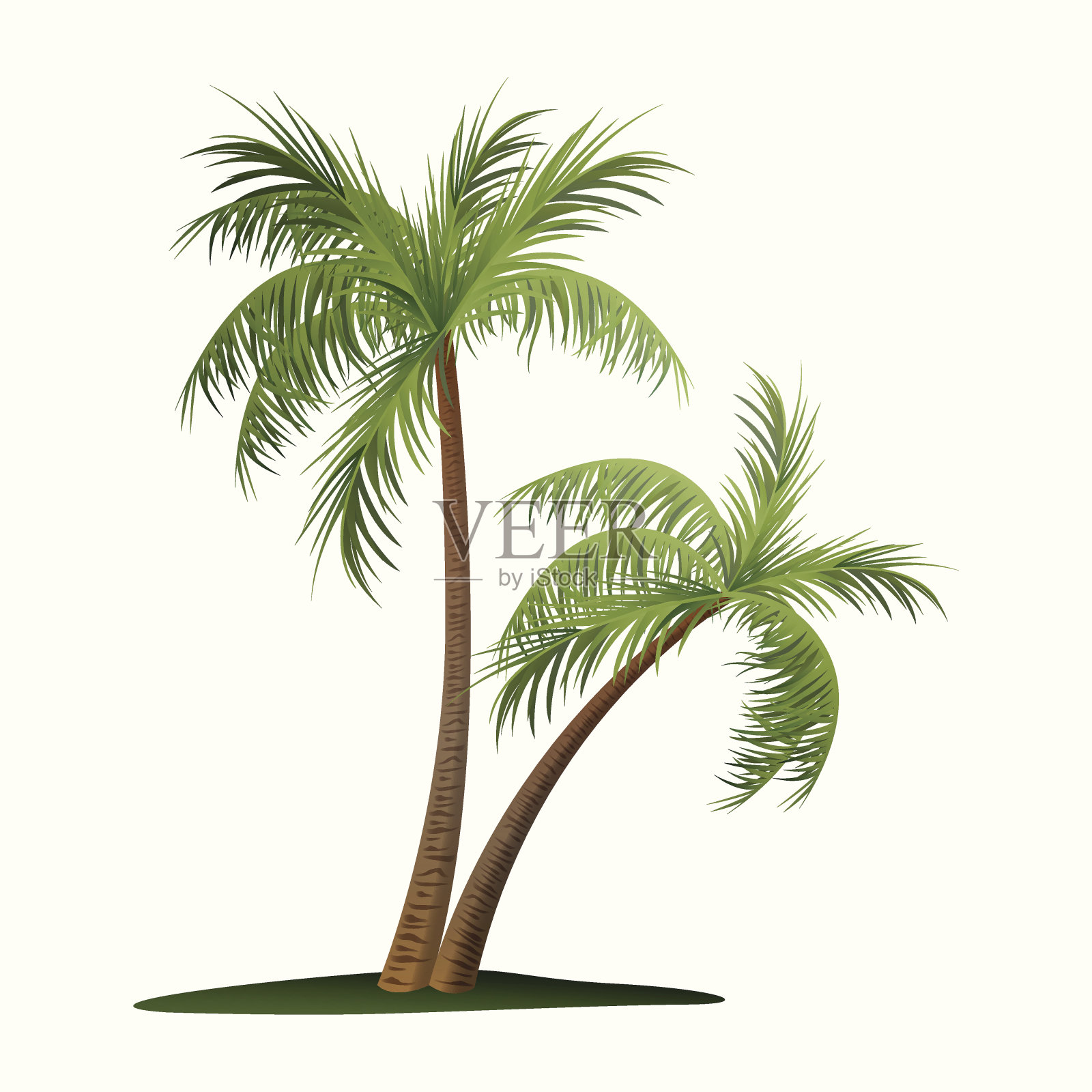 矢量棕榈树插图上的白色设计元素图片