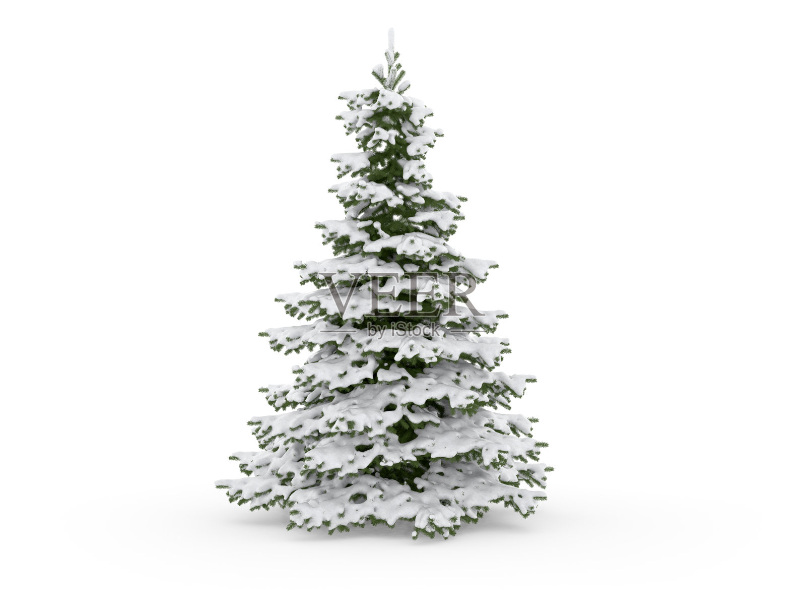圣诞树孤立在白色与雪照片摄影图片