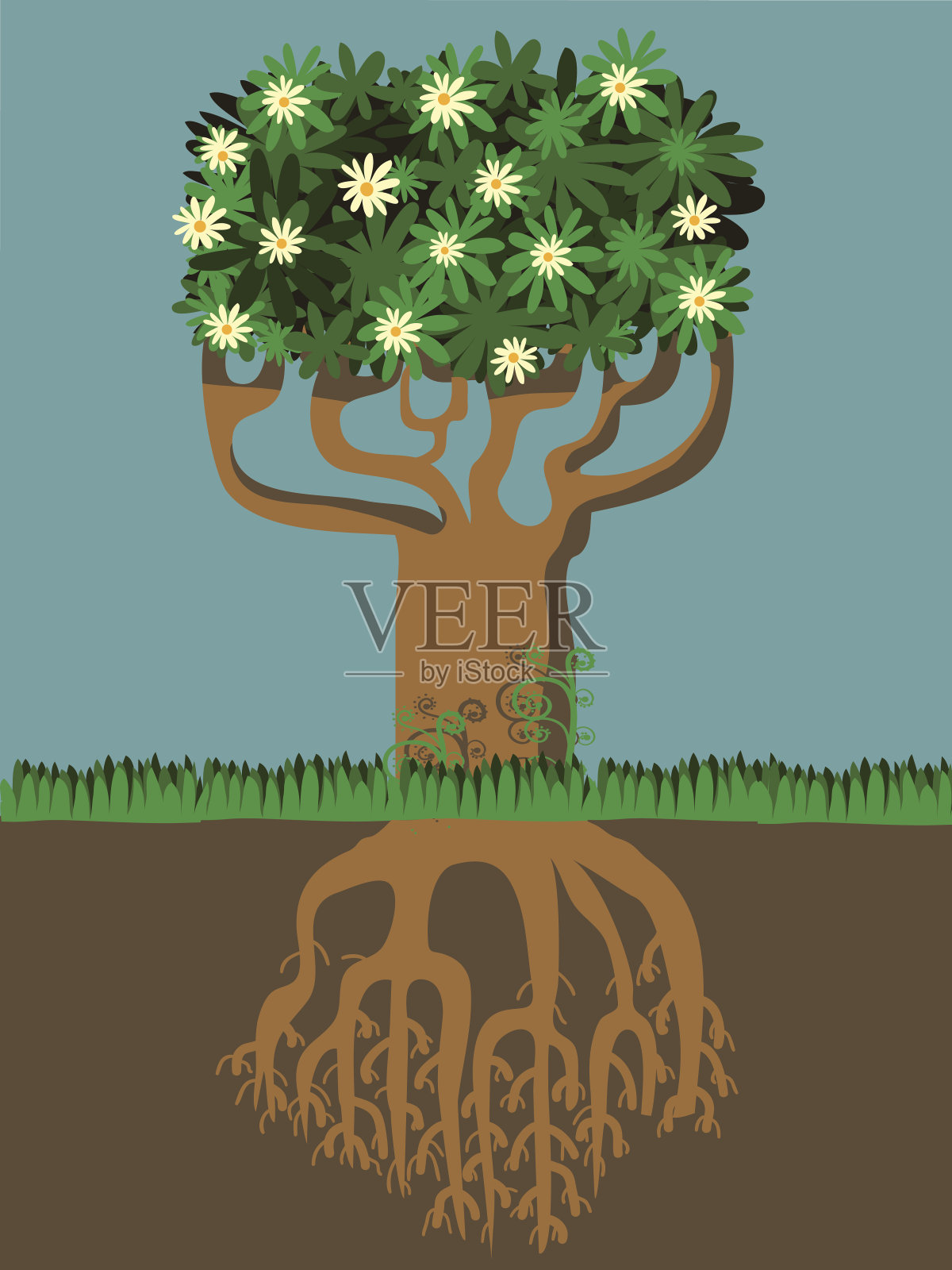树和根视图插画图片素材