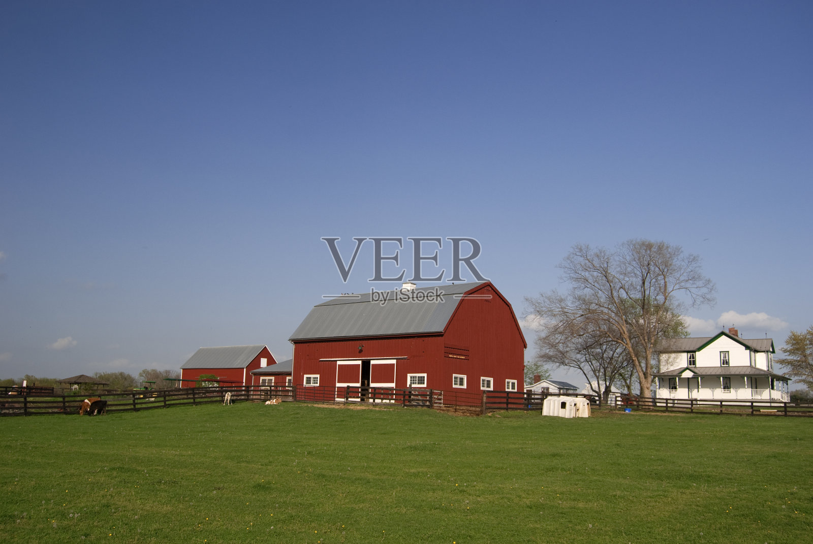 红色的谷仓和白色的农舍照片摄影图片