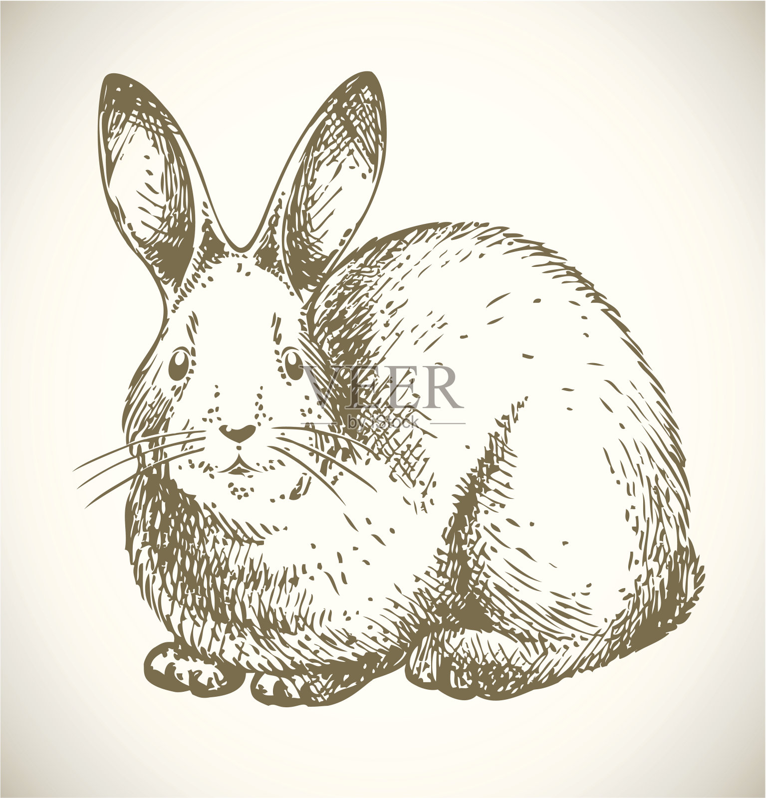 兔子画设计元素图片
