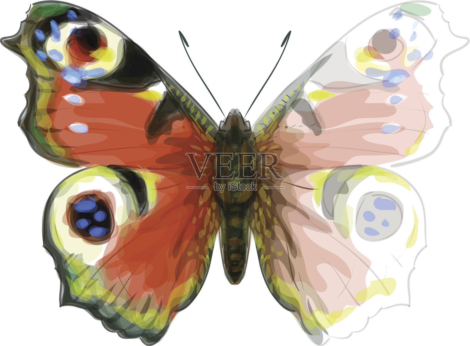 蝴蝶Inachis Io,。水彩模仿。插画图片素材