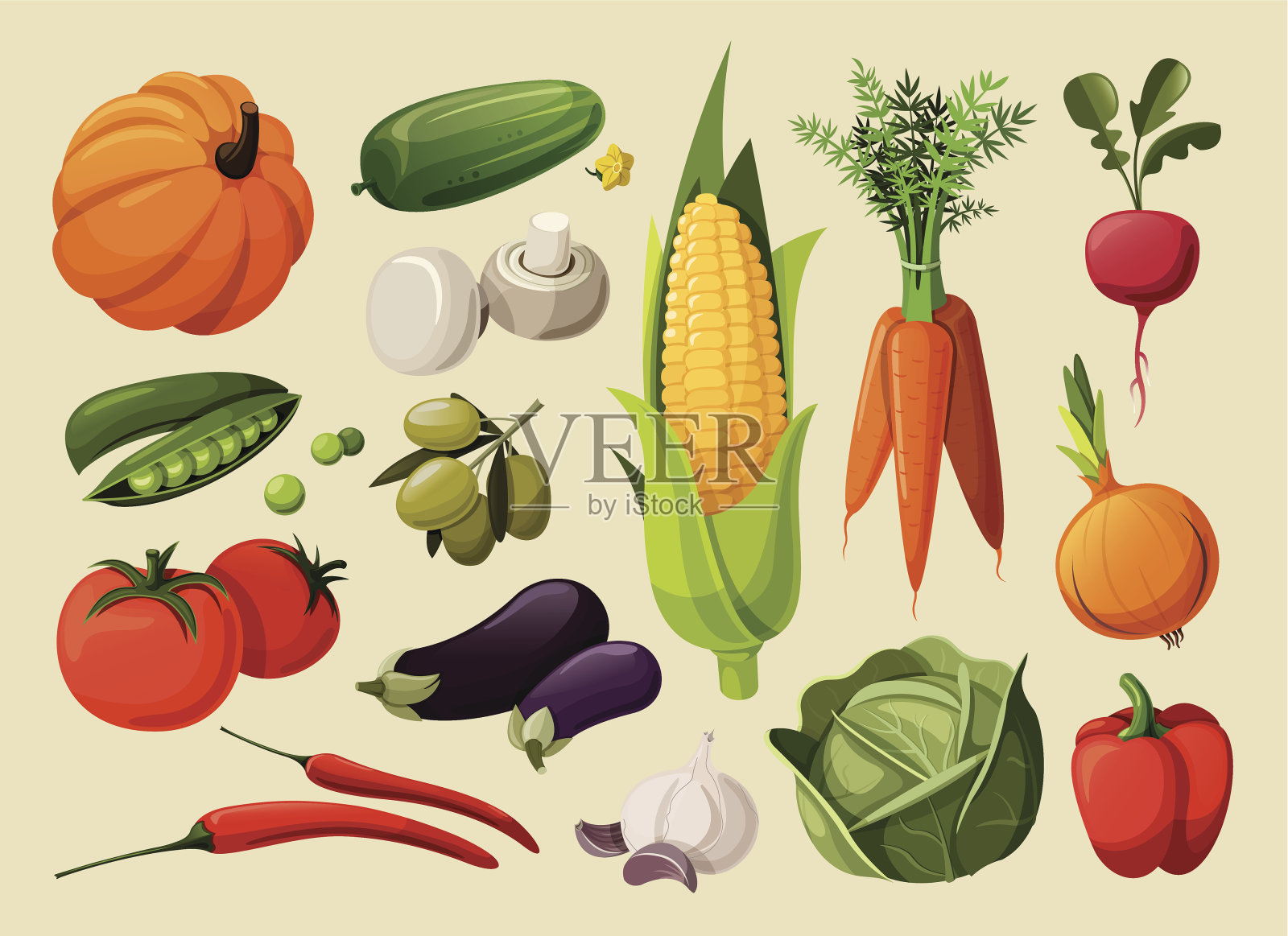 一套美味的蔬菜。插画图片素材