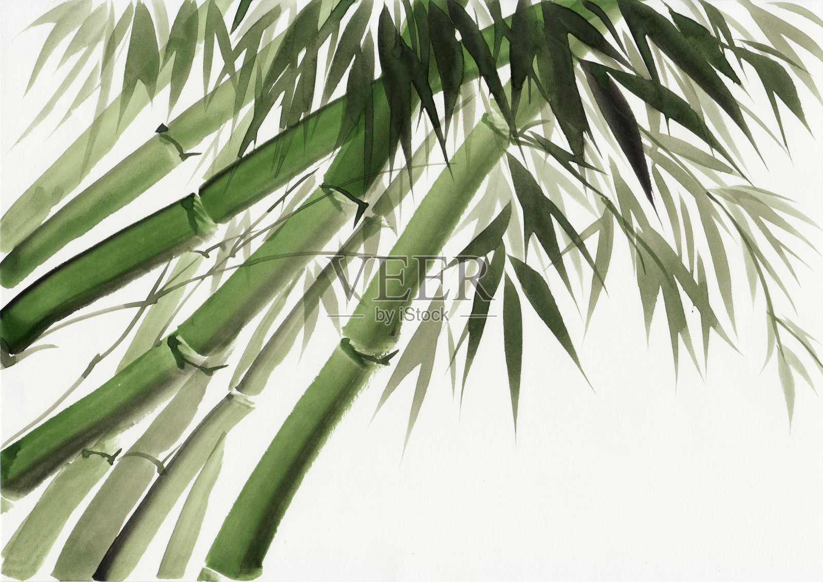 水彩画的竹子设计元素图片