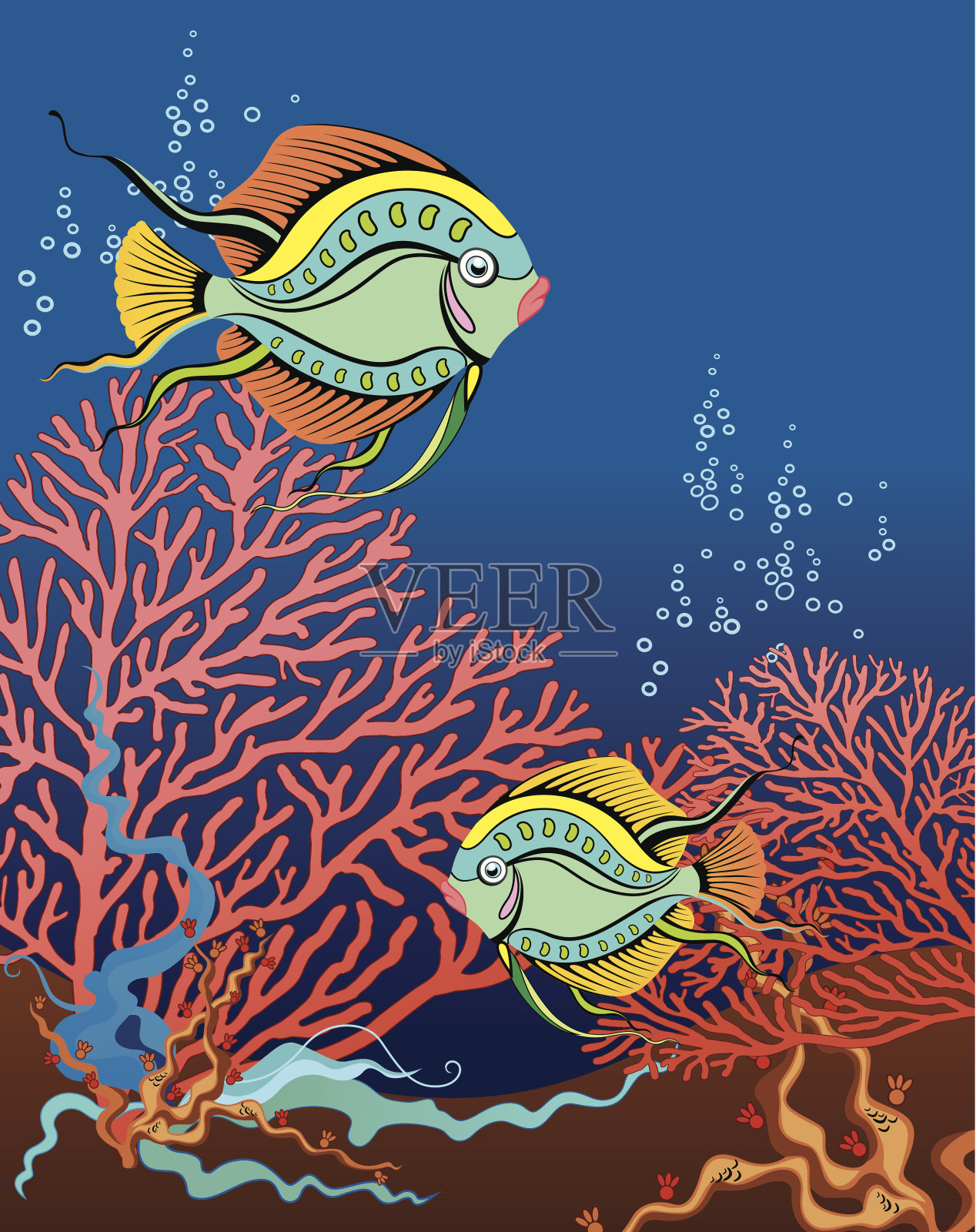 珊瑚礁插画图片素材