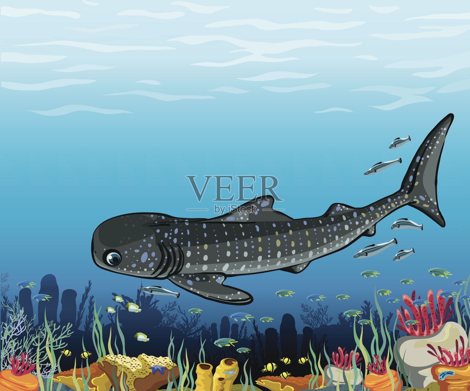 鲸鲨和珊瑚礁。插画图片素材