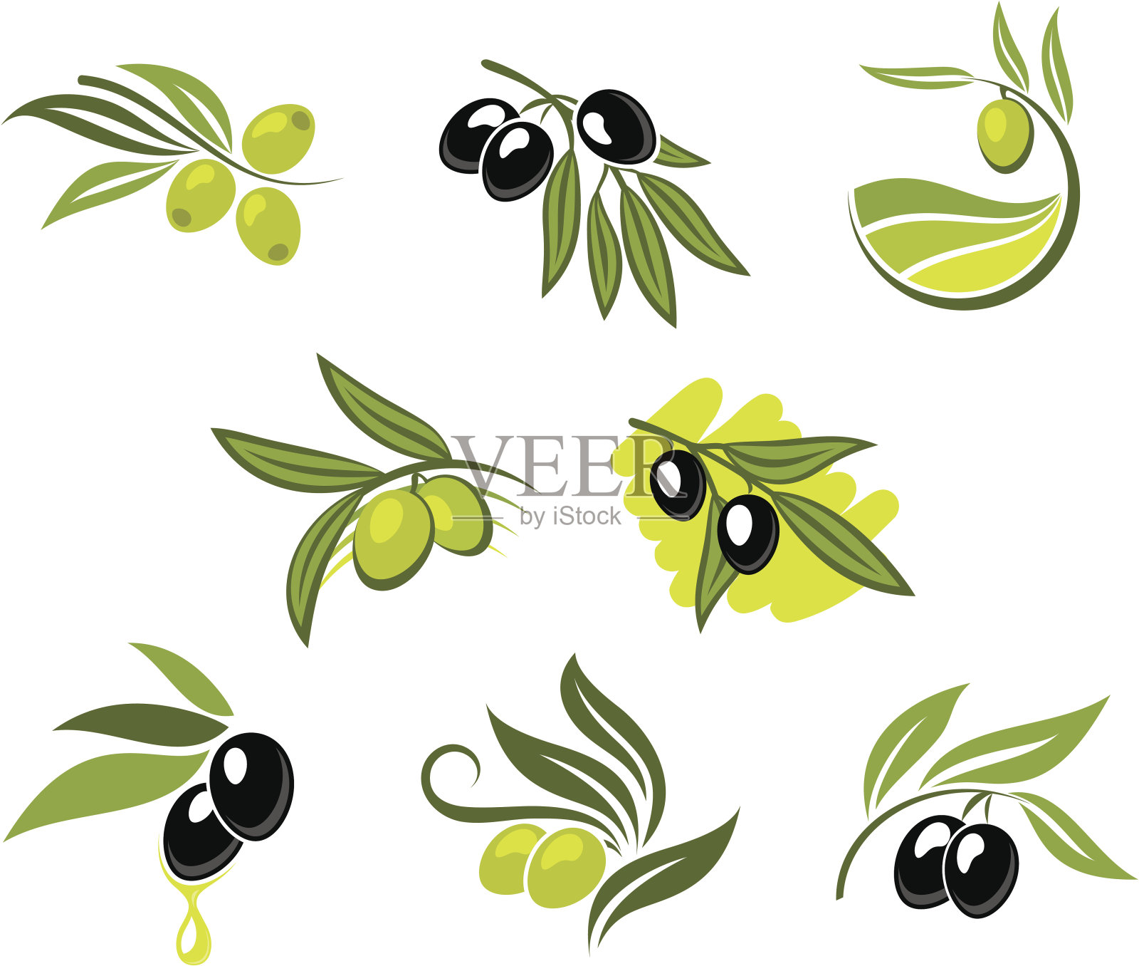 绿色和黑色的橄榄插画图片素材
