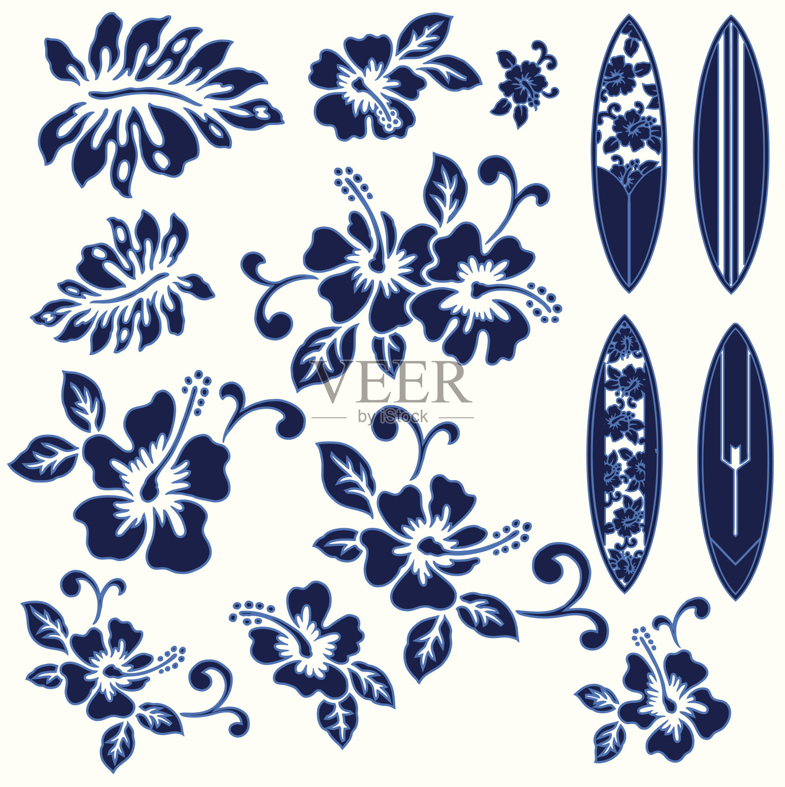 白色背景上的蓝色木槿花和冲浪板插画图片素材