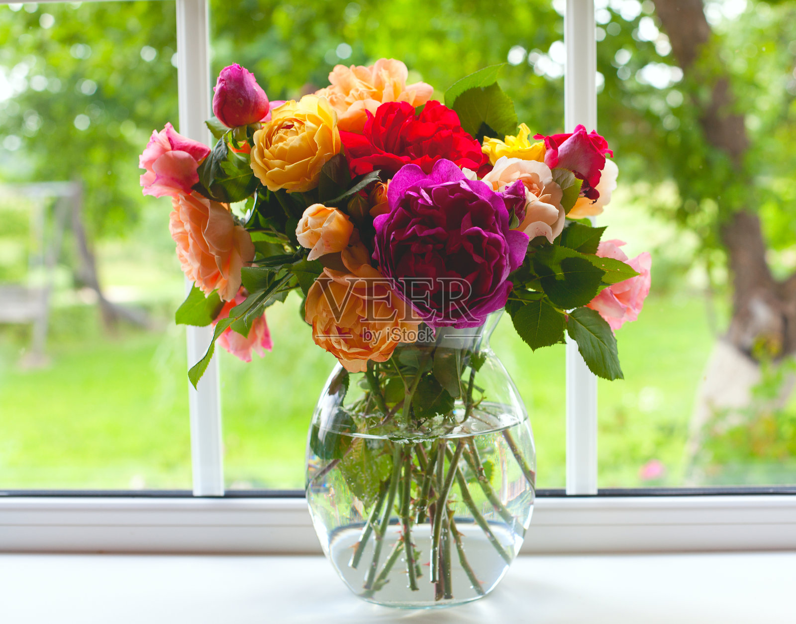 大花瓶上插着五颜六色的玫瑰照片摄影图片