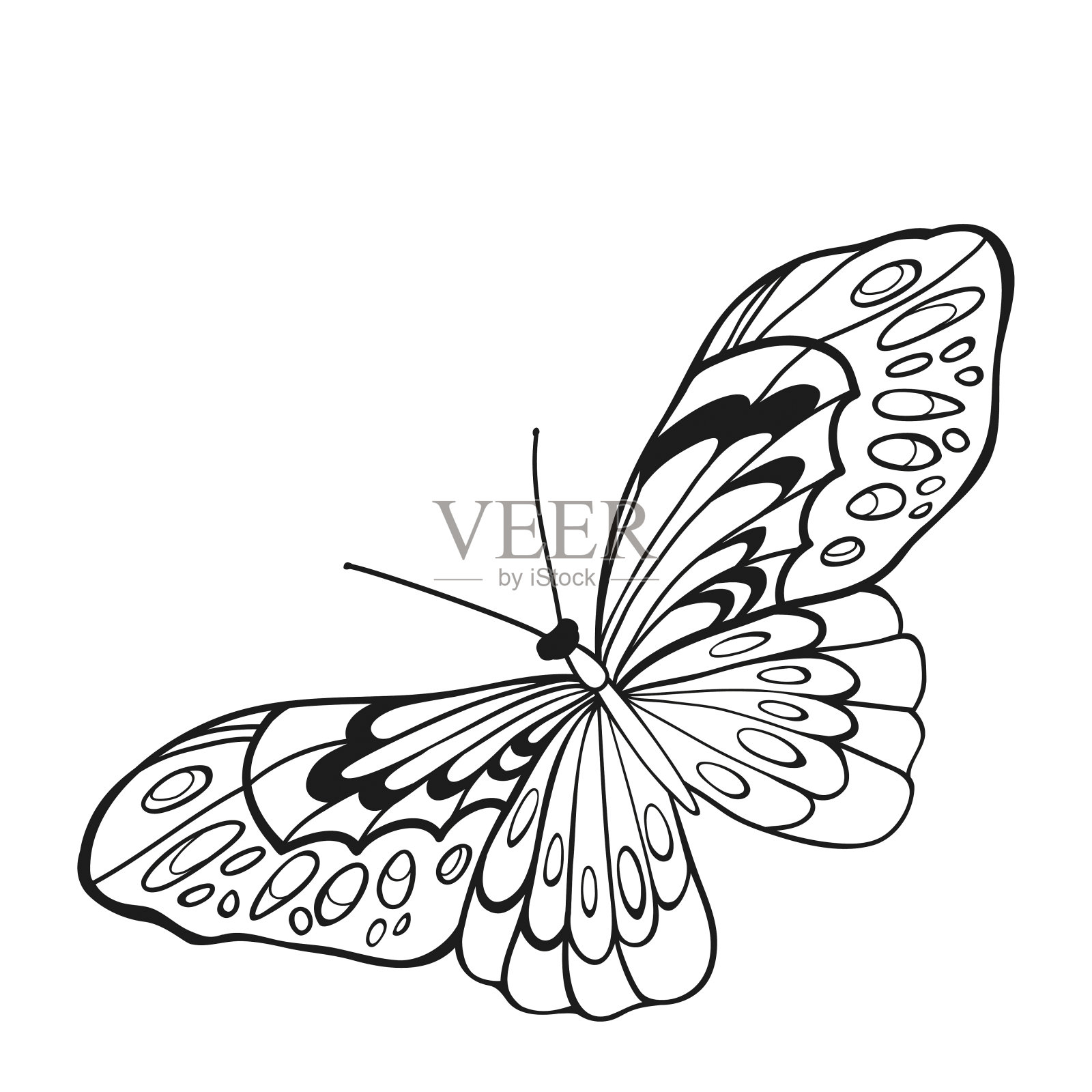张开翅膀的黑白蝴蝶插画图片素材