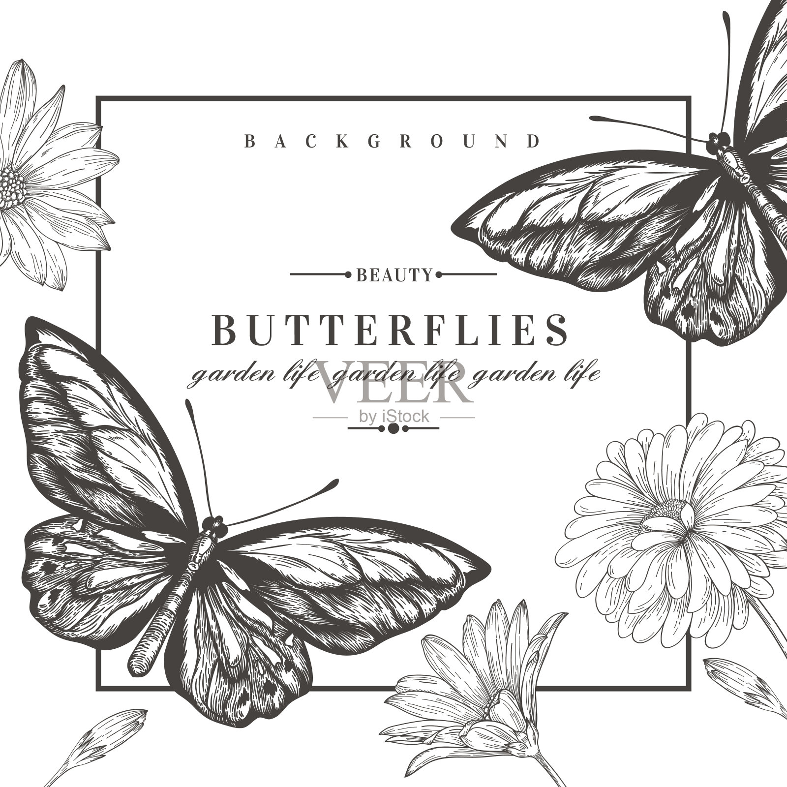 卡片上有蝴蝶和鲜花。插画图片素材