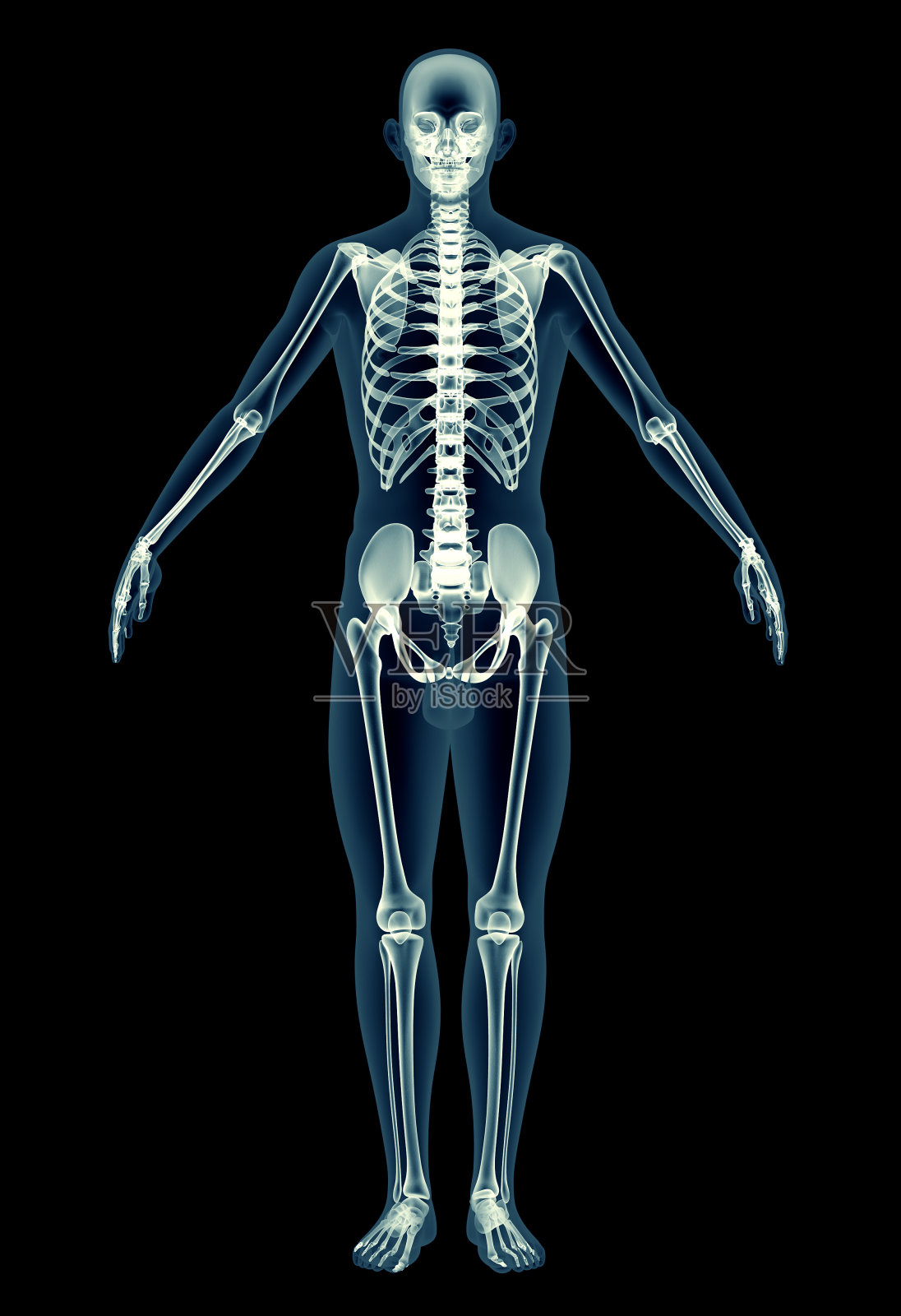 用x光透视人体骨骼照片摄影图片