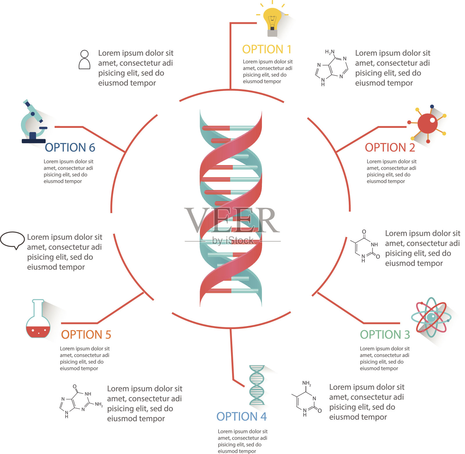 DNA结构信息插画图片素材