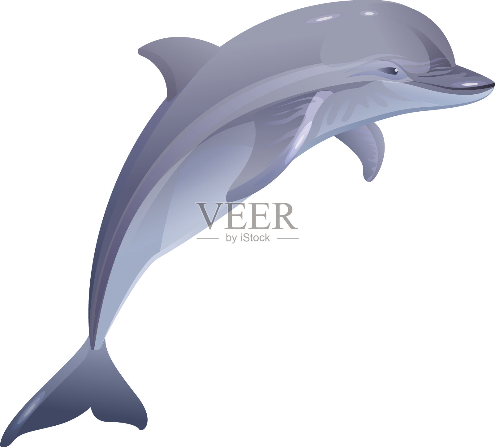 海洋哺乳动物海豚设计元素图片