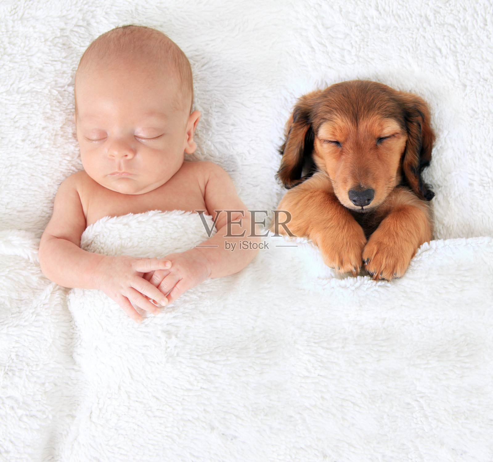 新生婴儿和小狗照片摄影图片
