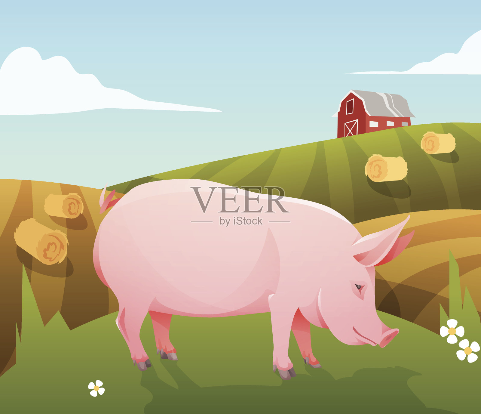 猪在农场插画图片素材